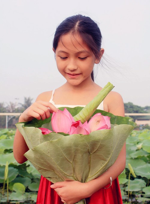 Temporada de flores de loto en Hanoi - ảnh 8